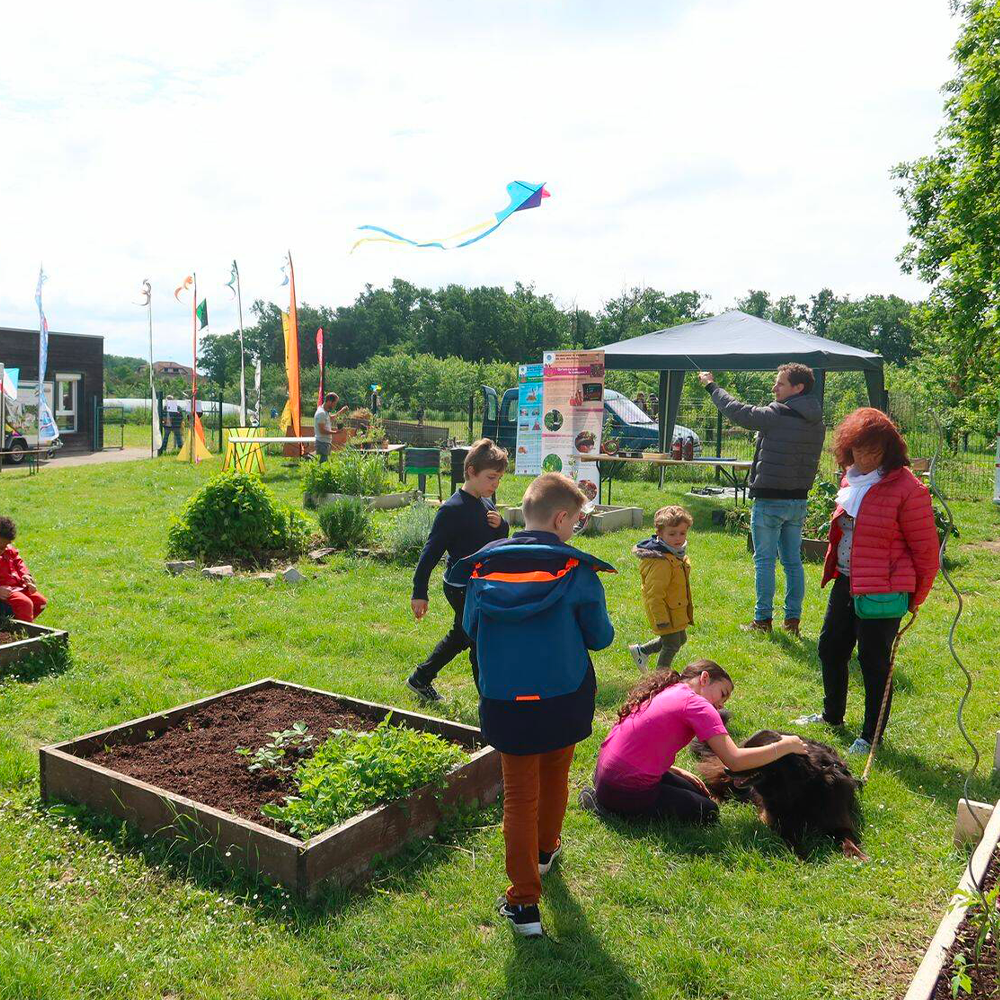 nature écologie activité solidaire jardin 