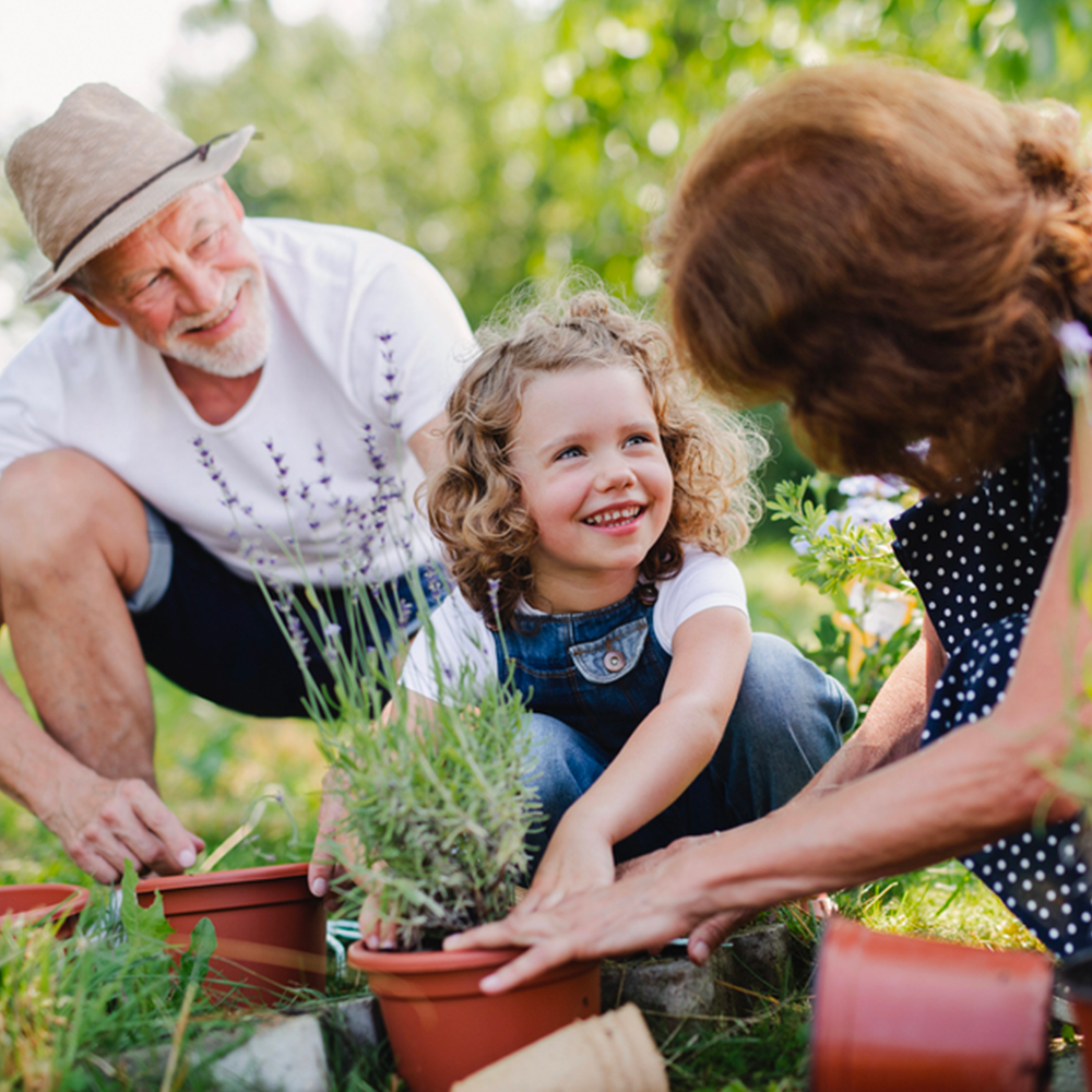 environnement planter activité solidaire toute génération